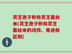 灵芝孢子粉和灵芝菌丝米(灵芝孢子粉和灵芝菌丝米的功效、用途和区别)