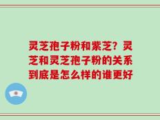 灵芝孢子粉和紫芝？灵芝和灵芝孢子粉的关系到底是怎么样的谁更好