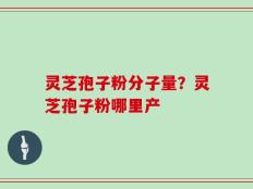 灵芝孢子粉分子量？灵芝孢子粉哪里产