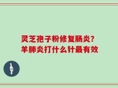 灵芝孢子粉修复肠炎？羊肺炎打什么针最有效