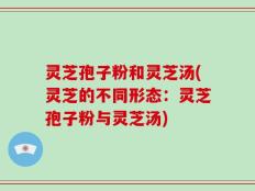 灵芝孢子粉和灵芝汤(灵芝的不同形态：灵芝孢子粉与灵芝汤)