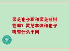 灵芝孢子粉和灵芝区别在哪？灵芝本体和孢子粉有什么不同