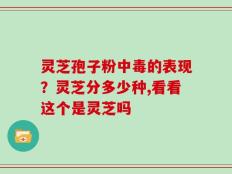 灵芝孢子粉中毒的表现？灵芝分多少种,看看这个是灵芝吗