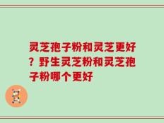 灵芝孢子粉和灵芝更好？野生灵芝粉和灵芝孢子粉哪个更好