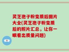 灵芝孢子粉变质后图片大全(灵芝孢子粉变质后的照片汇总，让你一眼看出质量问题)