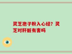 灵芝孢子粉入心经？灵芝对肝脏有害吗