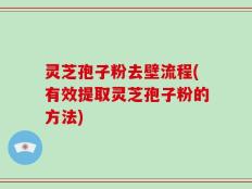 灵芝孢子粉去壁流程(有效提取灵芝孢子粉的方法)