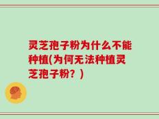 灵芝孢子粉为什么不能种植(为何无法种植灵芝孢子粉？)