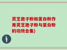 灵芝孢子粉和蛋白粉作用灵芝孢子粉与蛋白粉的功效合集)