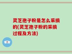 灵芝孢子粉是怎么采摘的(灵芝孢子粉的采摘过程及方法)