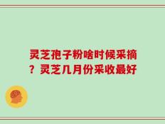 灵芝孢子粉啥时候采摘？灵芝几月份采收最好