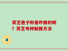灵芝孢子粉是咋做的呢？灵芝母种制做方法