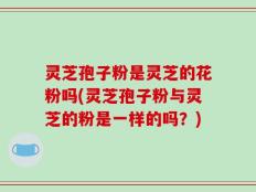 灵芝孢子粉是灵芝的花粉吗(灵芝孢子粉与灵芝的粉是一样的吗？)