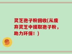 灵芝孢子粉回收(从废弃灵芝中提取孢子粉，助力环保！)