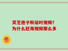 灵芝孢子粉延时视频？为什么赶海视频那么多