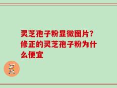 灵芝孢子粉显微图片？修正的灵芝孢子粉为什么便宜