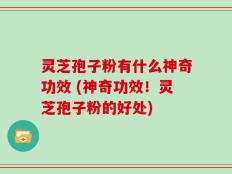 灵芝孢子粉有什么神奇功效 (神奇功效！灵芝孢子粉的好处)