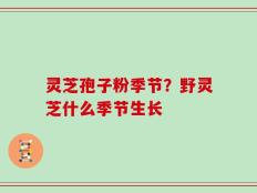 灵芝孢子粉季节？野灵芝什么季节生长