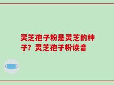 灵芝孢子粉是灵芝的种子？灵芝孢子粉读音