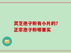灵芝孢子粉有小片的？正宗孢子粉哪里买