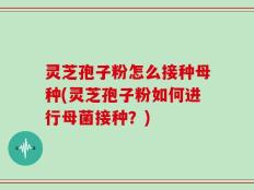 灵芝孢子粉怎么接种母种(灵芝孢子粉如何进行母菌接种？)