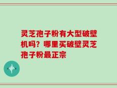 灵芝孢子粉有大型破壁机吗？哪里买破壁灵芝孢子粉最正宗