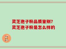 灵芝孢子粉品质鉴别？灵芝孢子粉是怎么样的