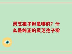 灵芝孢子粉是哪的？什么是纯正的灵芝孢子粉