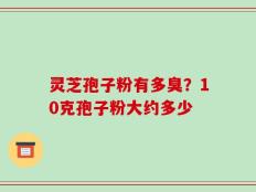 灵芝孢子粉有多臭？10克孢子粉大约多少