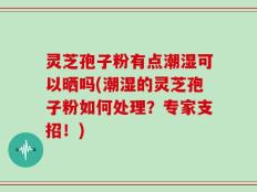 灵芝孢子粉有点潮湿可以晒吗(潮湿的灵芝孢子粉如何处理？专家支招！)