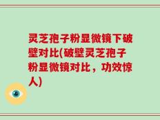 灵芝孢子粉显微镜下破壁对比(破壁灵芝孢子粉显微镜对比，功效惊人)