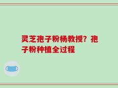 灵芝孢子粉杨教授？孢子粉种植全过程