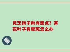 灵芝孢子粉有黑点？茶花叶子有霉斑怎么办
