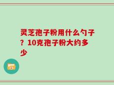 灵芝孢子粉用什么勺子？10克孢子粉大约多少
