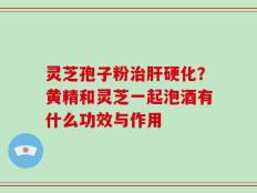 灵芝孢子粉治肝硬化？黄精和灵芝一起泡酒有什么功效与作用