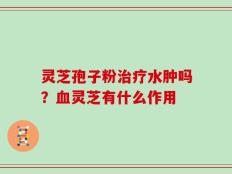 灵芝孢子粉治疗水肿吗？血灵芝有什么作用