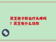 灵芝孢子粉治疗头疼吗？灵芝有什么功效