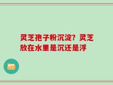 灵芝孢子粉沉淀？灵芝放在水里是沉还是浮