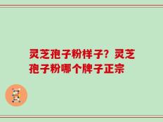 灵芝孢子粉样子？灵芝孢子粉哪个牌子正宗