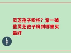 灵芝孢子粉杯？紫一破壁灵芝孢子粉到哪里买最好