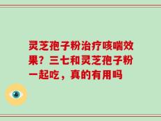 灵芝孢子粉治疗咳喘效果？三七和灵芝孢子粉一起吃，真的有用吗