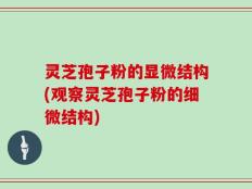 灵芝孢子粉的显微结构(观察灵芝孢子粉的细微结构)