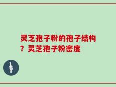灵芝孢子粉的孢子结构？灵芝孢子粉密度