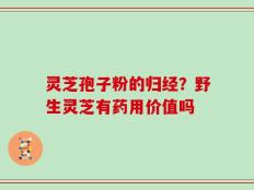 灵芝孢子粉的归经？野生灵芝有药用价值吗