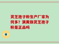 灵芝孢子粉生产厂家为何多？满黄旗灵芝孢子粉是正品吗