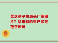 灵芝孢子粉源头厂家图片？华东制药生产灵芝孢子粉吗