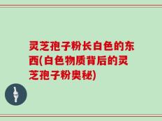 灵芝孢子粉长白色的东西(白色物质背后的灵芝孢子粉奥秘)