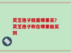 灵芝孢子胶囊哪里买？灵芝孢子粉在哪里能买到