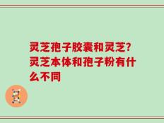 灵芝孢子胶囊和灵芝？灵芝本体和孢子粉有什么不同