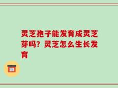 灵芝孢子能发育成灵芝芽吗？灵芝怎么生长发育